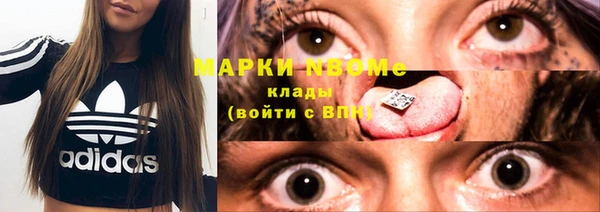 сатива Гатчина