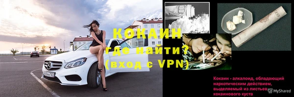 прущие грибы Володарск