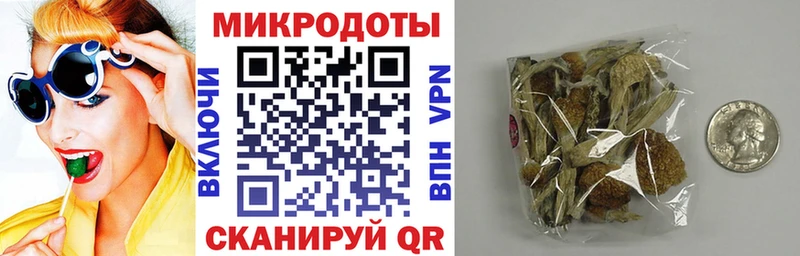 Галлюциногенные грибы мицелий  Гагарин 