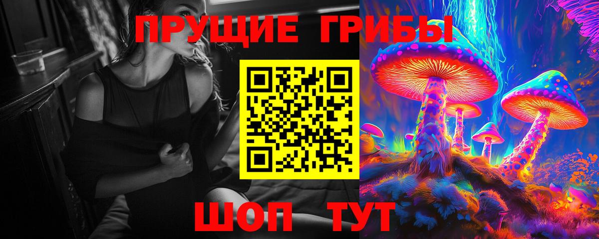 Псилоцибиновые грибы Psilocybe  Вход с VPN  Псилоцибиновые грибы Psilocybine cubensis  Гагарин 