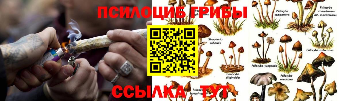 Псилоцибиновые грибы мухоморы Гагарин